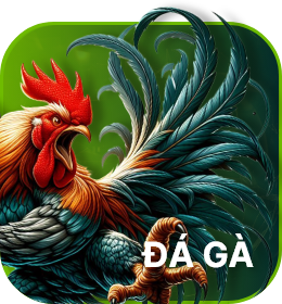 thumb đá gà