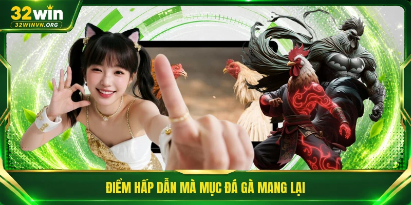 Điểm hấp dẫn mà mục đá gà mang lại 