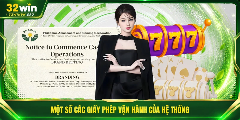 Một số các giấy phép vận hành của hệ thống